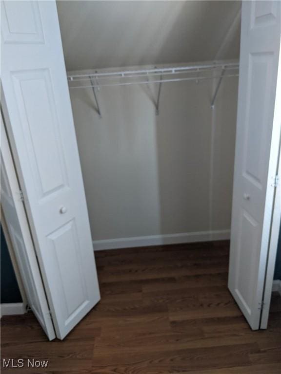 walk in closet with dark wood finished floors