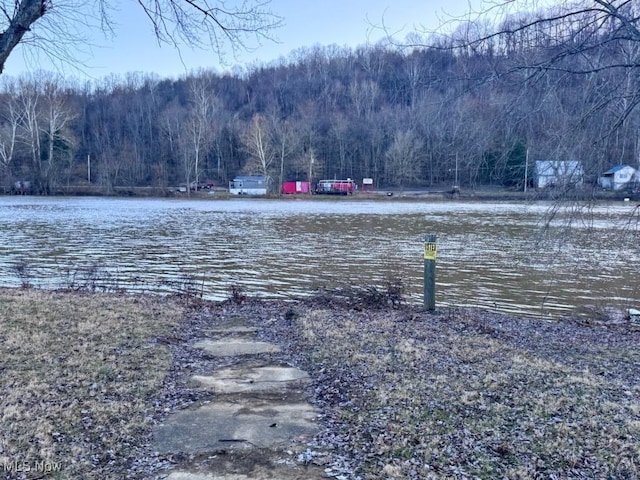 property view of water with a forest view