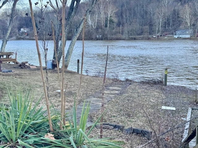 water view with a forest view