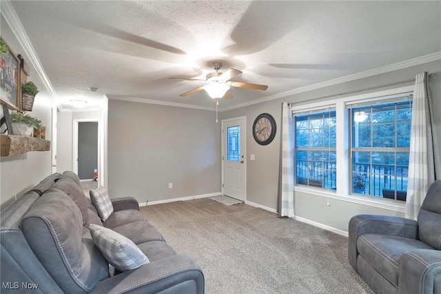 living area with carpet, crown molding, a textured ceiling, and baseboards