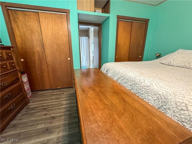 bedroom with wood finished floors and multiple closets