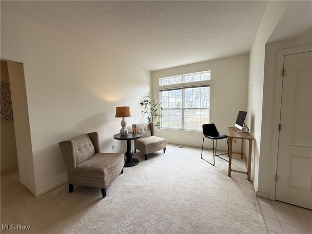 sitting room with a textured ceiling and carpet