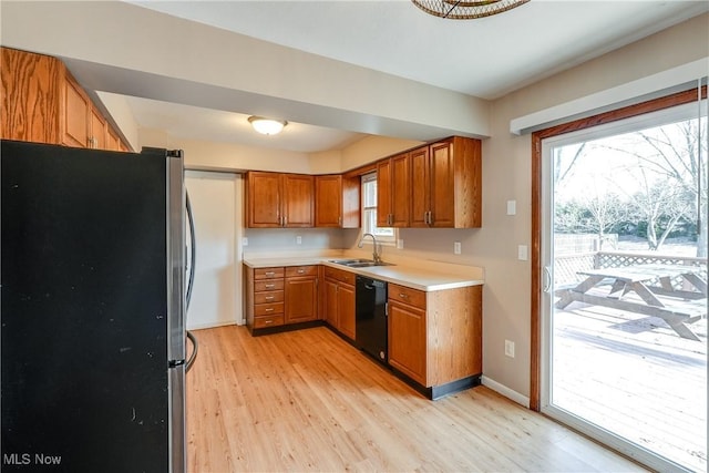 kitchen featuring black dishwasher, brown cabinetry, light wood-style flooring, freestanding refrigerator, and a sink