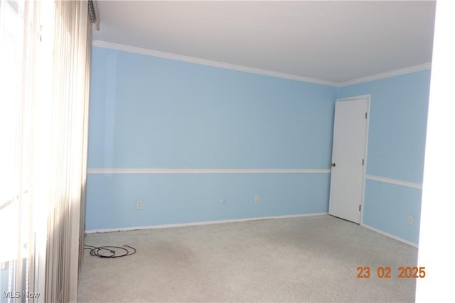 255 N Portage Path Unit 208, Akron, OH 44303 - unfurnished room featuring carpet flooring, crown molding, and baseboards