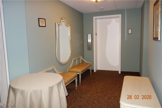255 N Portage Path Unit 208, Akron, OH 44303 - hallway with carpet