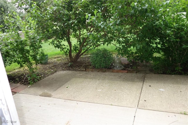 255 N Portage Path Unit 208, Akron, OH 44303