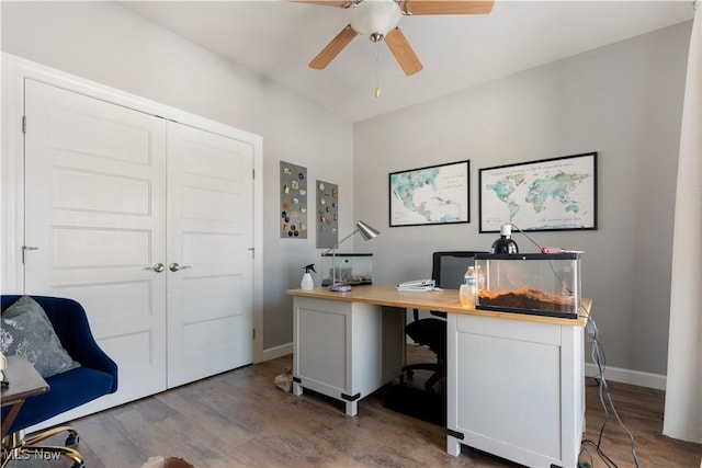 office featuring ceiling fan, baseboards, and wood finished floors