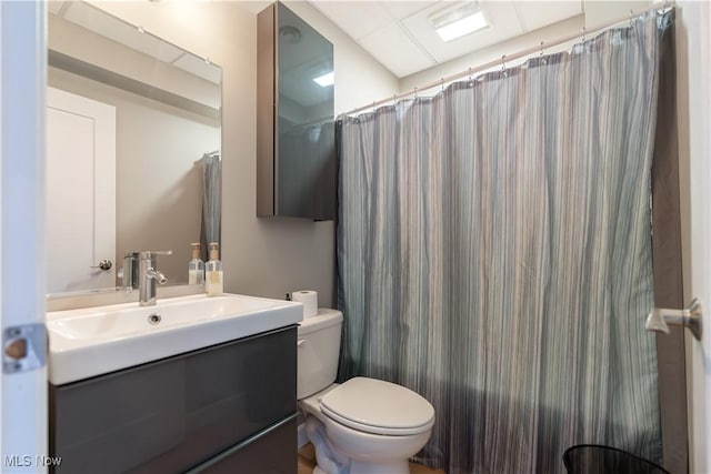 full bathroom with vanity, toilet, and a shower with curtain