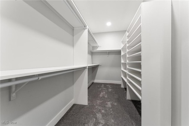 walk in closet with dark carpet