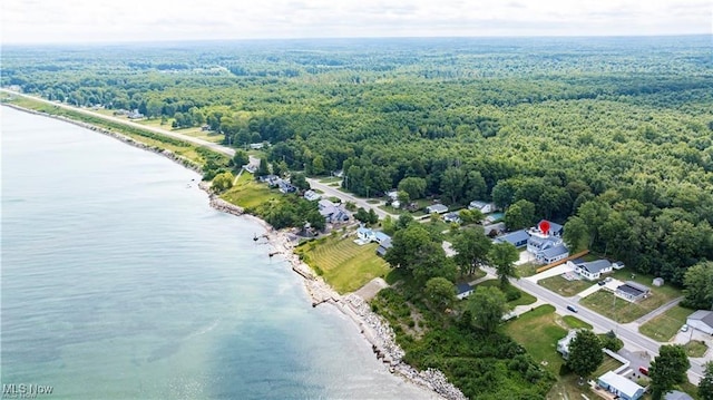 bird's eye view with a water view and a view of trees