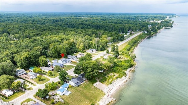 bird's eye view featuring a water view and a view of trees