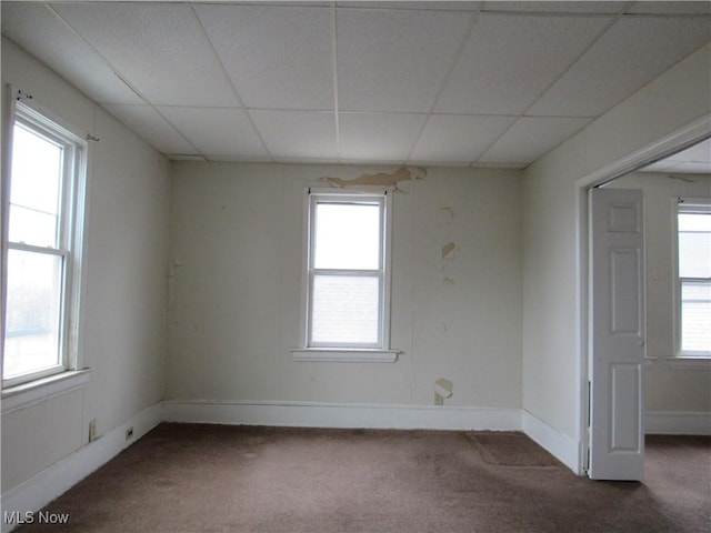 empty room with carpet floors, a drop ceiling, and baseboards