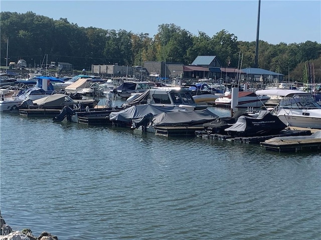 view of dock with a water view