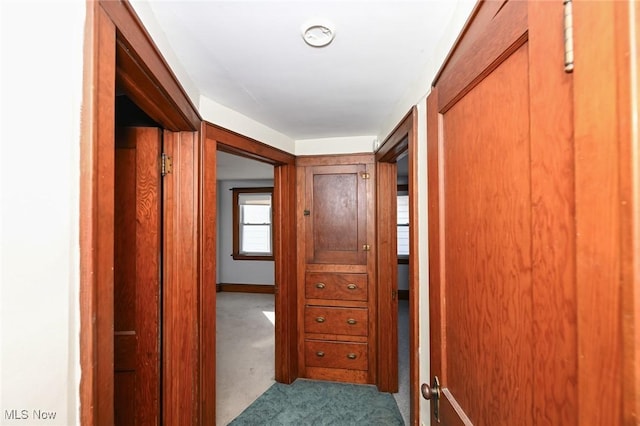 hallway featuring carpet flooring