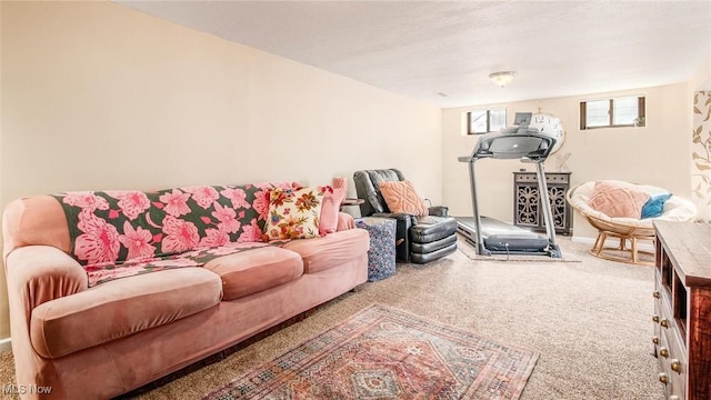 view of carpeted living area