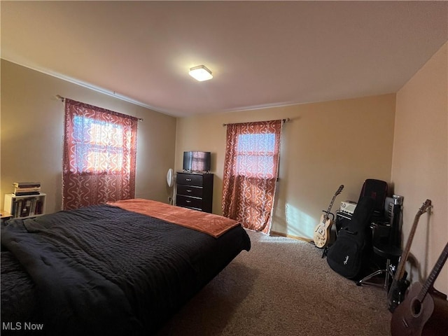 bedroom with carpet flooring