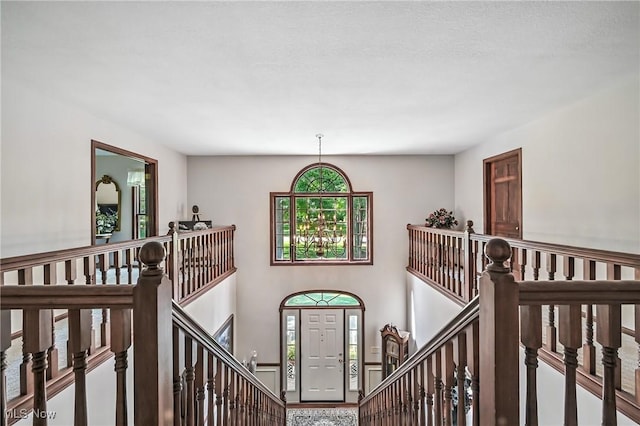 6977 Killdeer Dr, Canfield, OH 44406 - photo 29