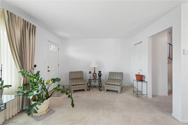 living area featuring carpet flooring