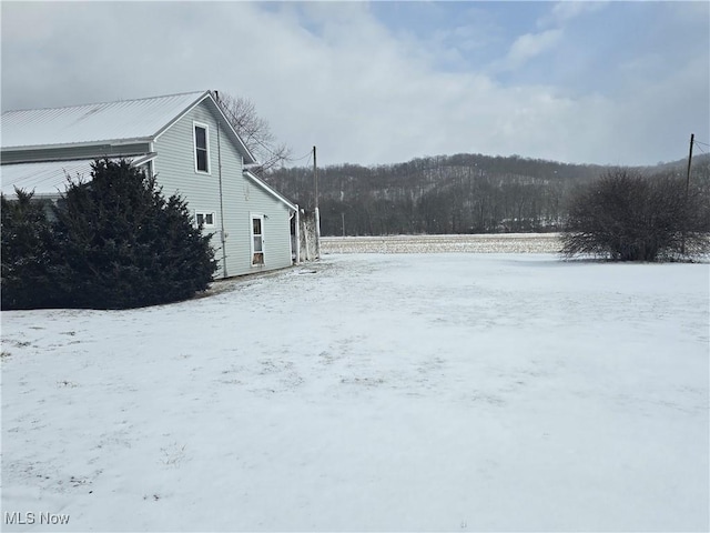 view of yard covered in snow