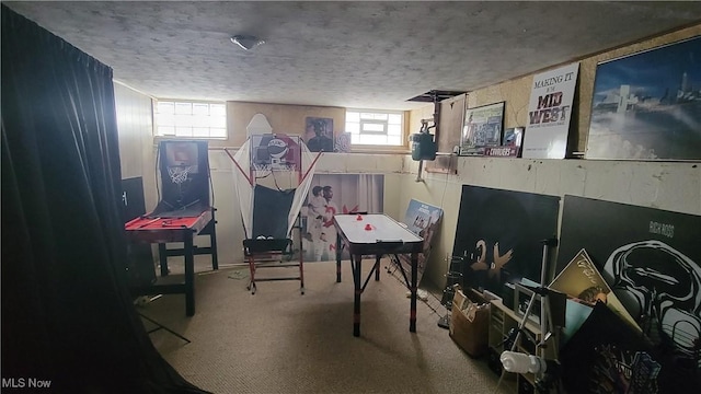 miscellaneous room featuring carpet floors and a textured ceiling