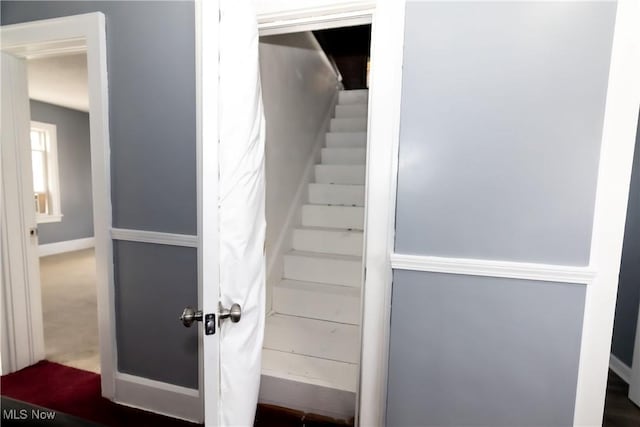 staircase featuring carpet