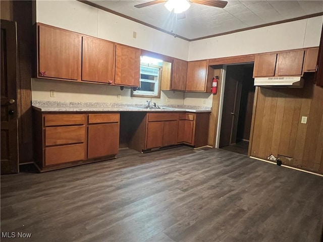 kitchen featuring a sink, light countertops, dark wood finished floors, and brown cabinets