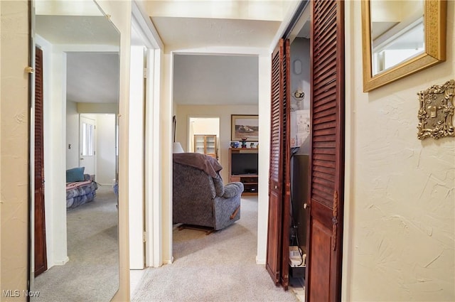 hall featuring a textured wall and carpet floors