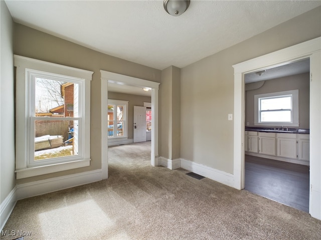 empty room featuring a textured ceiling, carpet floors, a sink, visible vents, and baseboards