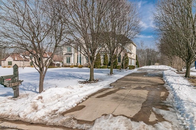 view of road featuring concrete driveway