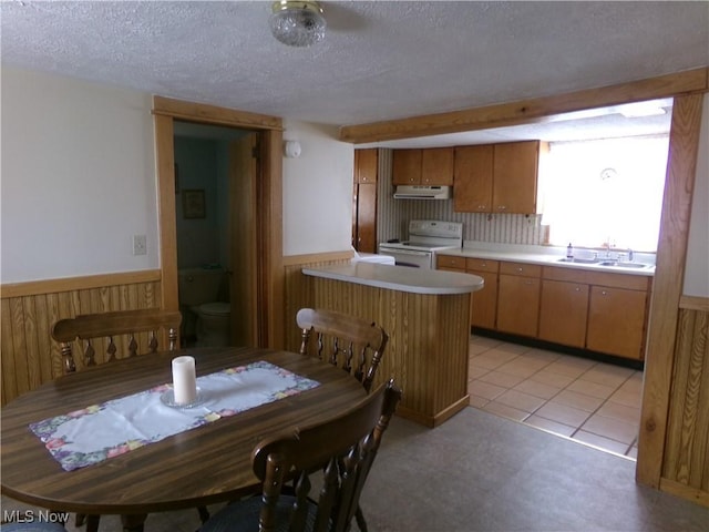 kitchen with wainscoting, white electric range, a sink, and under cabinet range hood