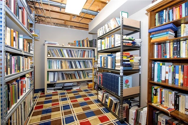 interior space with bookshelves