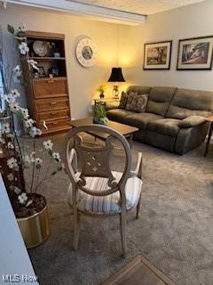 view of carpeted living area