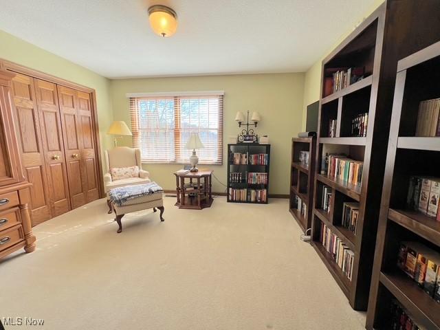 living area featuring carpet floors