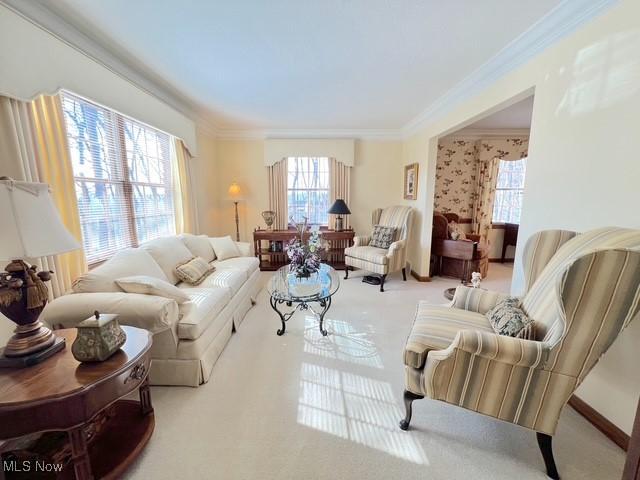 living room with ornamental molding and carpet flooring