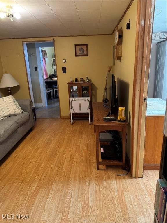 living room with light wood finished floors