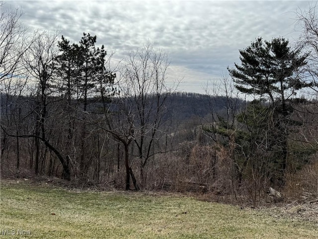 view of mountain feature with a view of trees