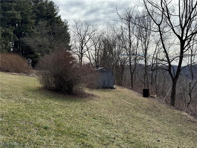 view of yard featuring a shed and an outdoor structure