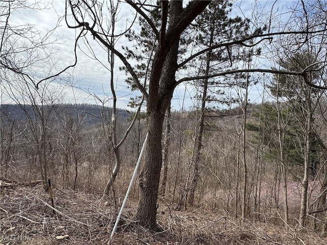 view of nature featuring a forest view