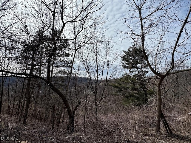 view of landscape