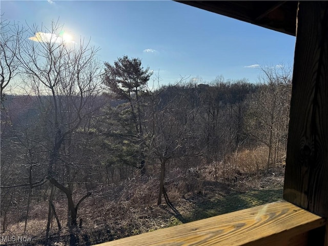 view of mountain feature with a wooded view