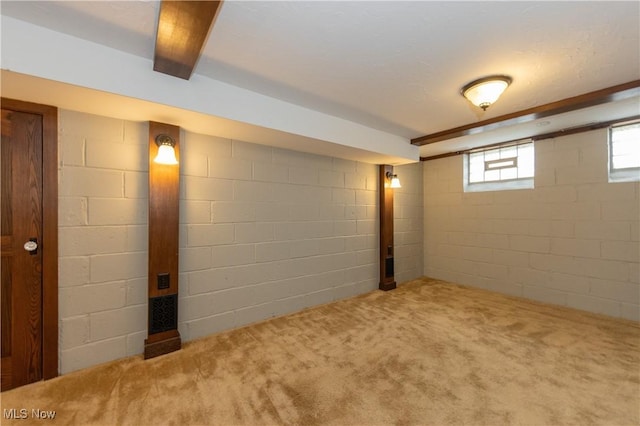 basement with carpet