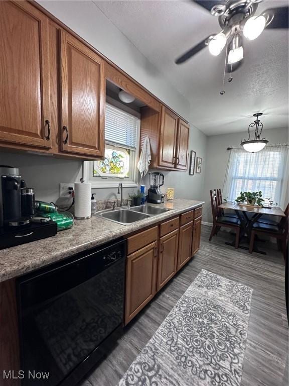 kitchen with plenty of natural light, black dishwasher, brown cabinets, and a sink