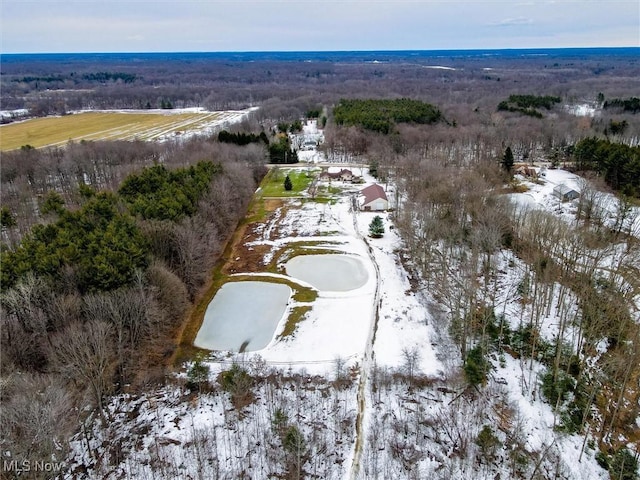 view of snowy aerial view