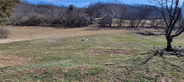 view of yard with a wooded view