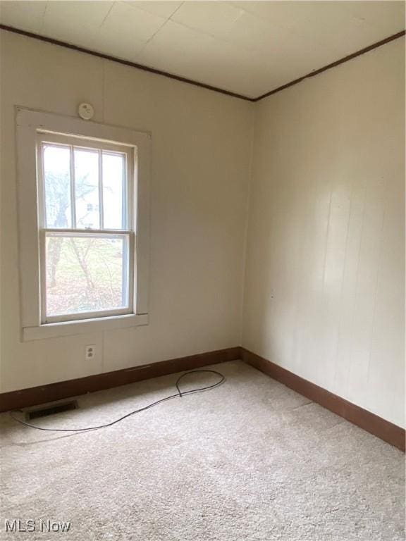 spare room with baseboards, carpet flooring, visible vents, and crown molding