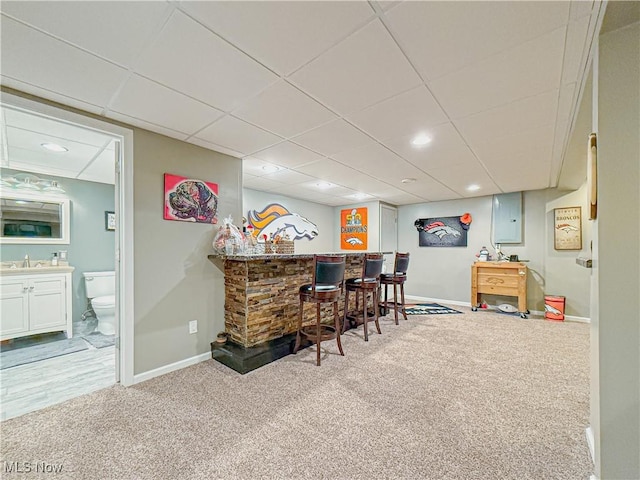 bar featuring a paneled ceiling, a sink, baseboards, a bar, and carpet