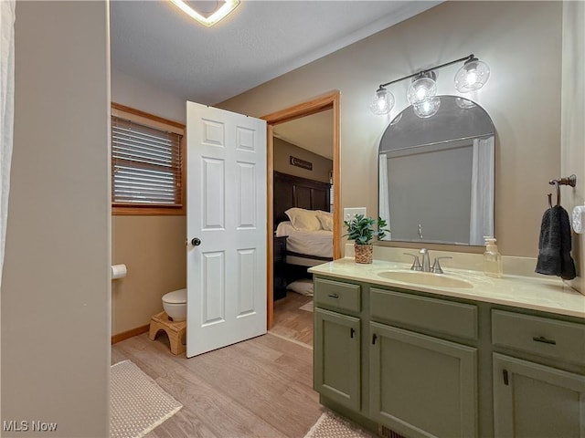 ensuite bathroom featuring toilet, ensuite bath, wood finished floors, and vanity