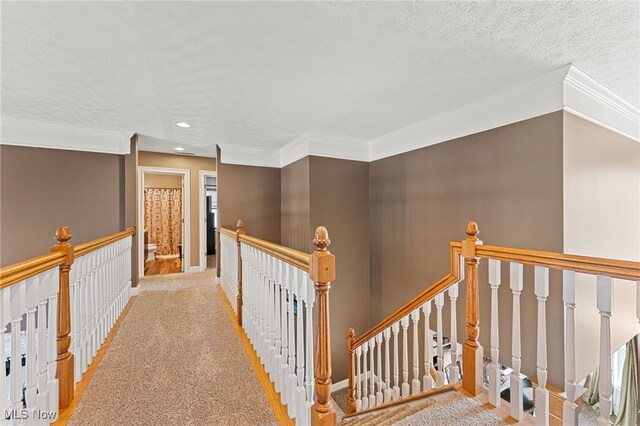 616 Coventry Pl, Amherst, OH 44001 - photo 25