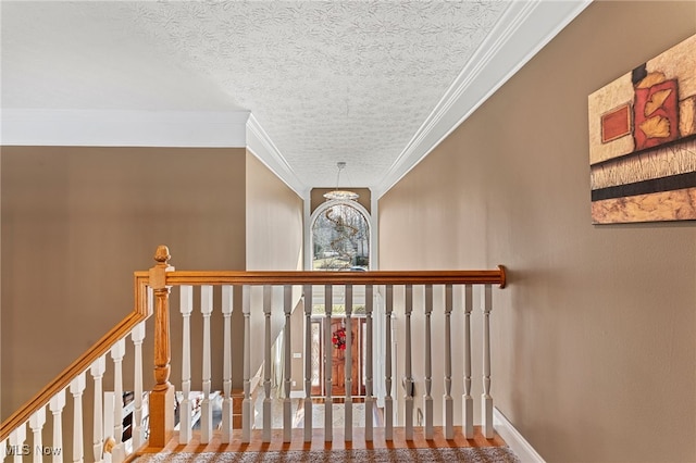 616 Coventry Pl, Amherst, OH 44001 - photo 35
