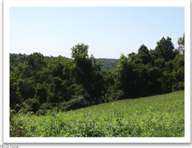 view of landscape